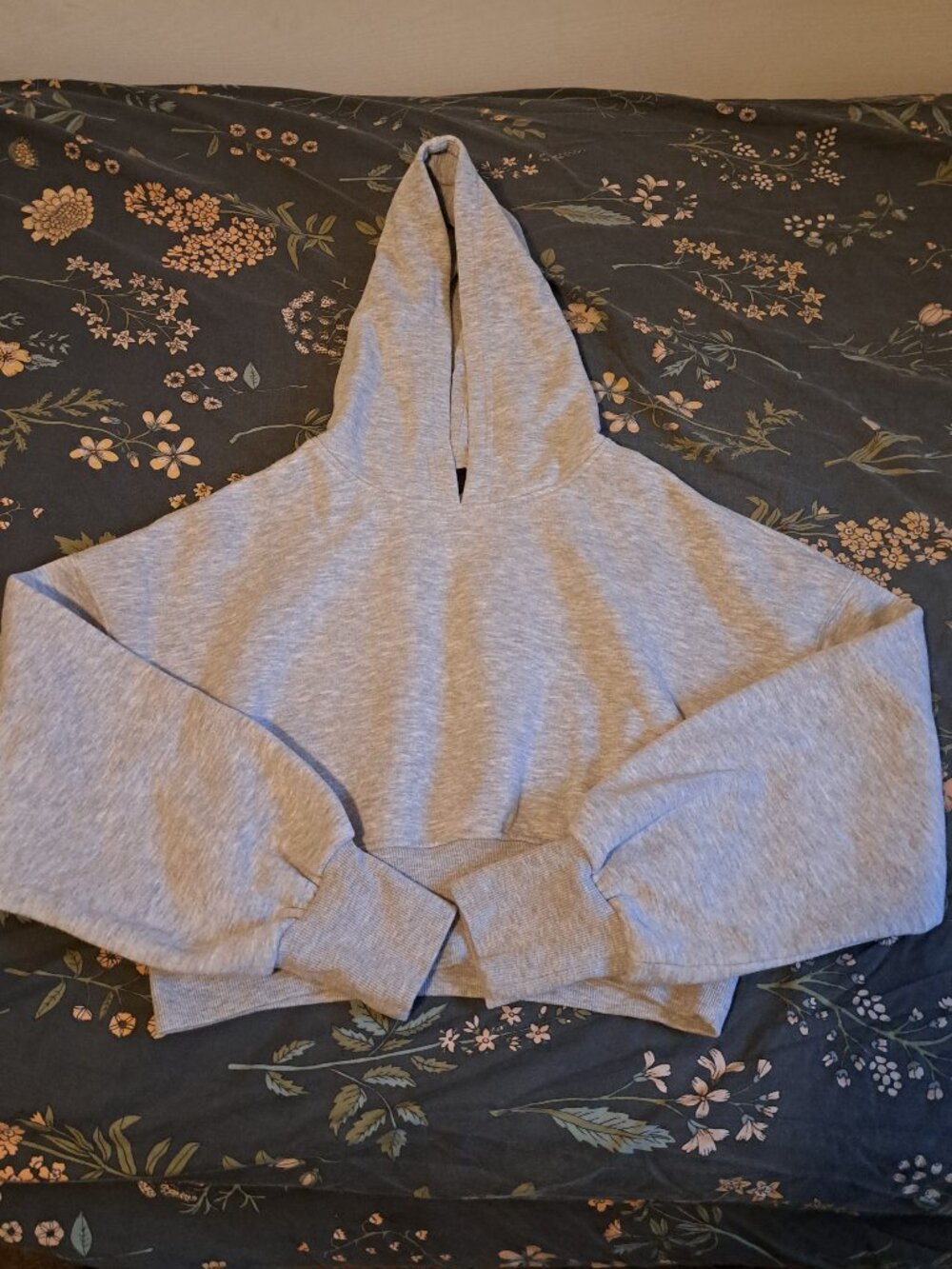 Pacsun Cropped Grey Hoodie